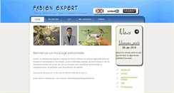 Desktop Screenshot of fabienexpert.com
